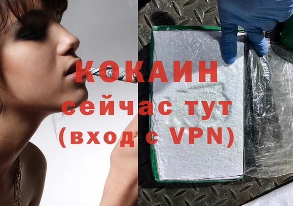дмт Переславль-Залесский